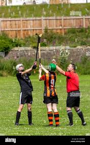 Image result for Ballachulish Shinty Club