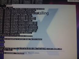 Image result for kernel panic snow leopard