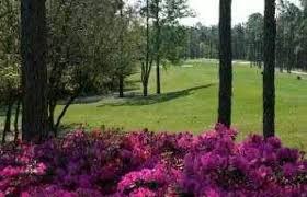 Image result for James North Bowls Club