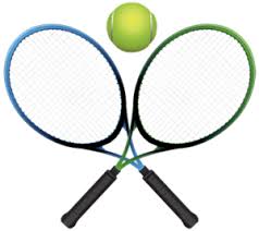 Image result for Rye Badminton Club