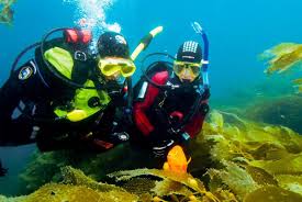 Image result for Seaham Sub Aqua Club