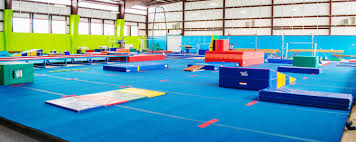 Image result for Stevenage Sports Acro Club