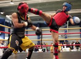 Image result for Southgate T`ai Tsung Chinese Boxing