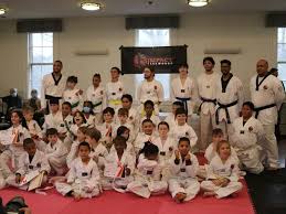 Image result for New Milton Taekwondo Club
