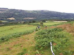 Image result for White Mark Bowmen Field Archery Club