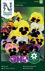 Image result for Viola x wittrockiana `Hiemalis`