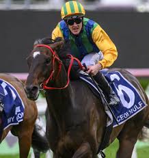 Image result for Bletchingly Badminton Club