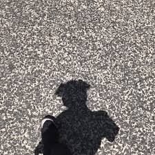 「アマノ・ヒカル」の画像検索結果