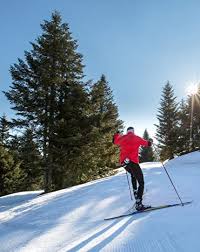 Image result for Scandinavian slope and cross country skiing