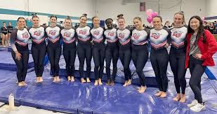Image result for York University Gymnastics Club
