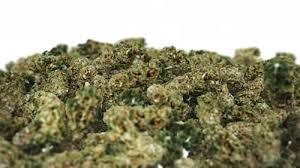 Resultado de imagen para la marihuana channel