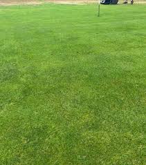 Image result for Farnham Park Golf Course