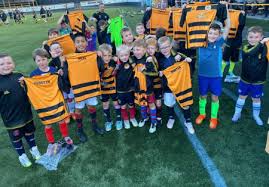 Image result for Warsash Wasps Sports & Football Club