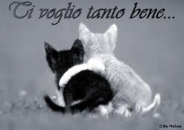 affetto