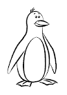 Penguin coloring page