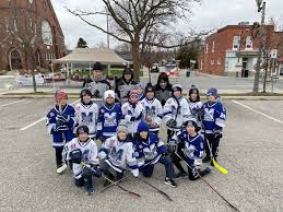 Image result for New Milton Hockey Club