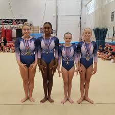 Image result for Park Wrekin Gymnastics Club
