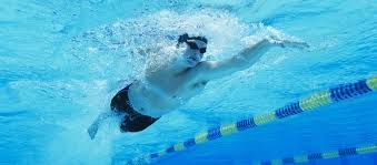 Image result for Plymouth Leander Swimming Association