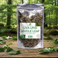 Attēlu rezultāti vaicājumam “Arctostaphylos uva-ursi leaf”