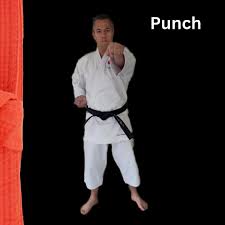 Image result for Colchester Shotokan Karate Club