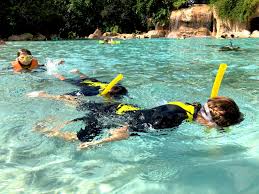 Image result for Discover Swimming