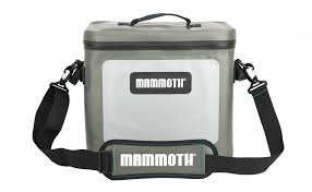 Image result for Go Mammoth