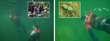 Image result for Dorking Snorkelling Club