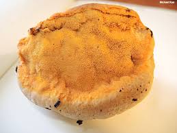 Attēlu rezultāti vaicājumam “Hapalopilus croceus”