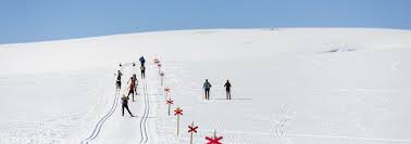 Image result for Scandinavian slope and cross country skiing