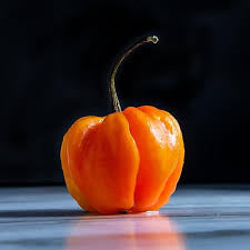 Afbeeldingsresultaat voor orange habanero hot pepper