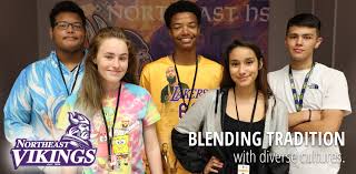 Image result for North East Vikings