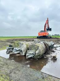 Image result for vakwerkmast