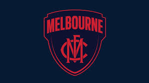 Image result for Melbourne United Football Club