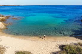 Image result for capo d'orso