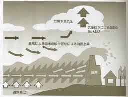 Image result for 高潮 津波 別物