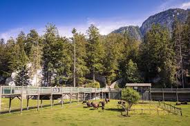 Image result for vallorbe tehron