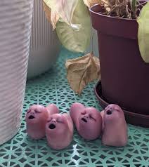 Image result for Newdigate Clays