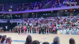 Image result for Comets Netball Club