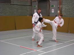 Image result for Tang Sou Dao Ren Yi Wu Kwan - Huntingdon