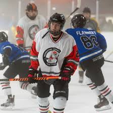 Image result for Basingstoke Bison Ice Hockey Club