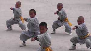 Image result for Shaolin Ancestors kung Fu School