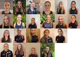 Image result for Hertford Hornets Netball Club