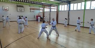 Image result for Haslemere Shotokan Karate Club