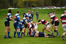Image result for Reigate Rugby Football Club