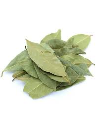 Image result for feuille-laurier-silex