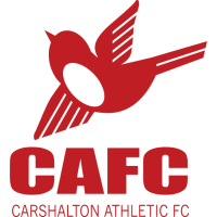 Image result for Carshalton Scrabble Club