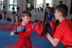 Image result for middlesbrough karate academy