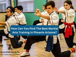 Image result for Phoenix Martial Arts