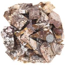 Resultado de imagen para sliced horse