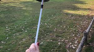 Image result for Falmouth Scrabble Club